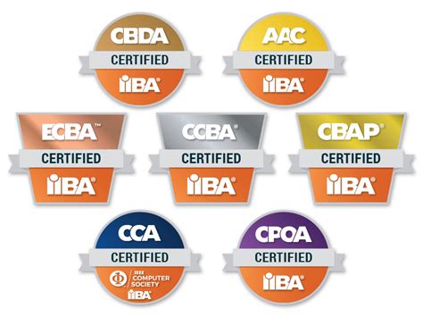 Business Analysis Certification Exam Information .